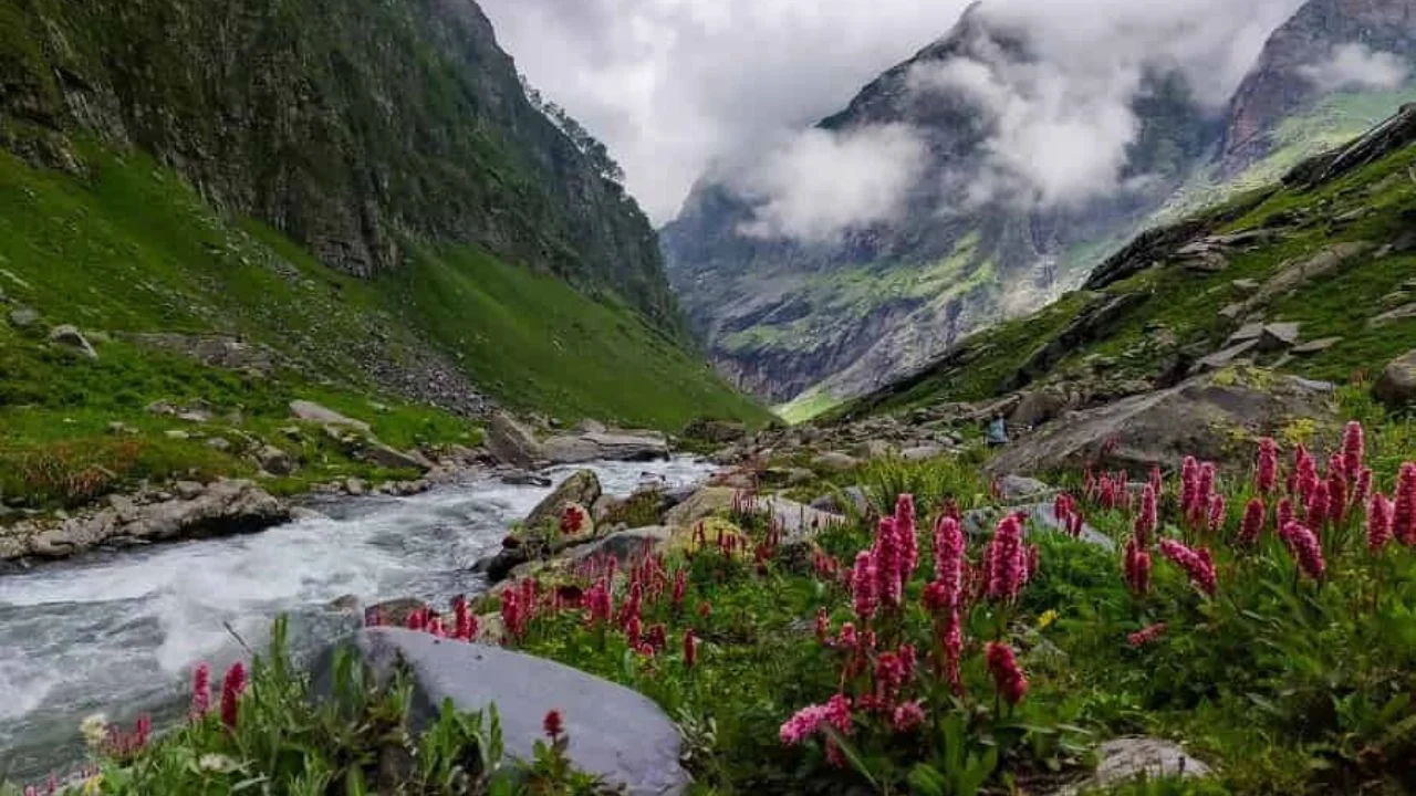 Valley of Flowers Trek – A Dream Walk Through Nature’s Hidden Garden